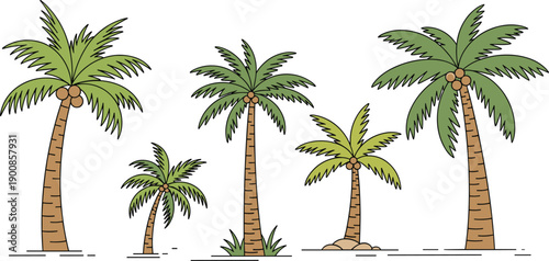 Palm tree illustration set, tropical coconut trees collection, summer beach nature icons, cartoon flat vector greenery design