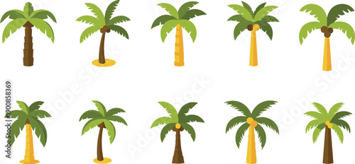 Palm tree illustration set, tropical coconut palm collection, flat vector beach greenery icons, summer island jungle nature design elements