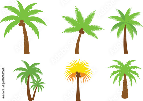 Palm tree illustration set, tropical coconut palms collection, colorful flat vector greenery icons for summer beach island nature designs