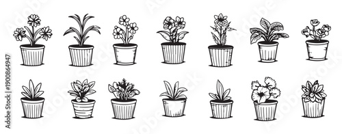 set of sketches house plants in pots on a white background