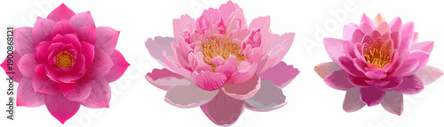 Radiant Lotus Flower: Zen Aura