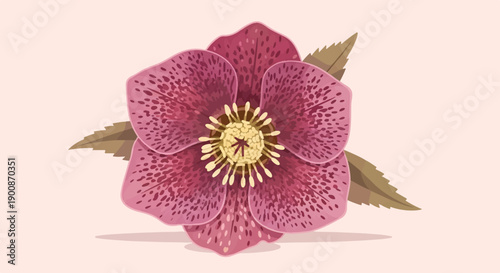 A detailed illustration of a single, spotted purple flower with yellow center