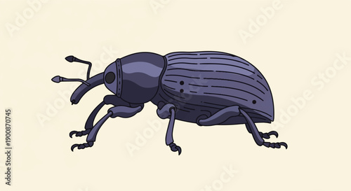 A detailed, stylized illustration of a purple beetle with a prominent snout