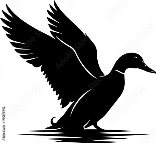 Graceful duck landing silhouette vector illustration
