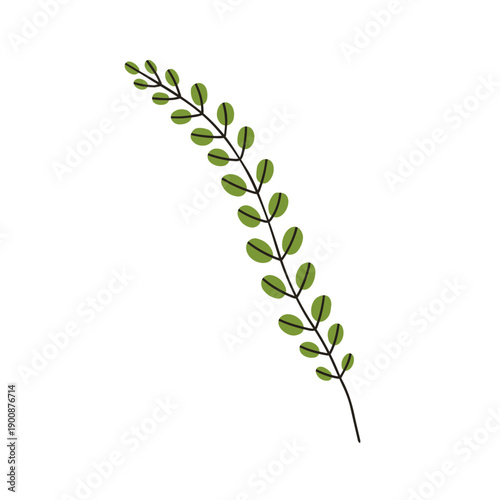 Leaf branch. Leaves sprig. Leafy plant twig with green foliage. Botanical des...