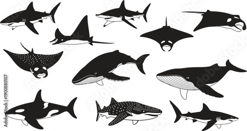 Silhouette of various marine mammals and fish in oceanic environment silhouette