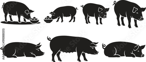 Seven pig silhouettes in various poses eating and standing against a white background silhouette