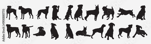 boxer dog animal silhouette set