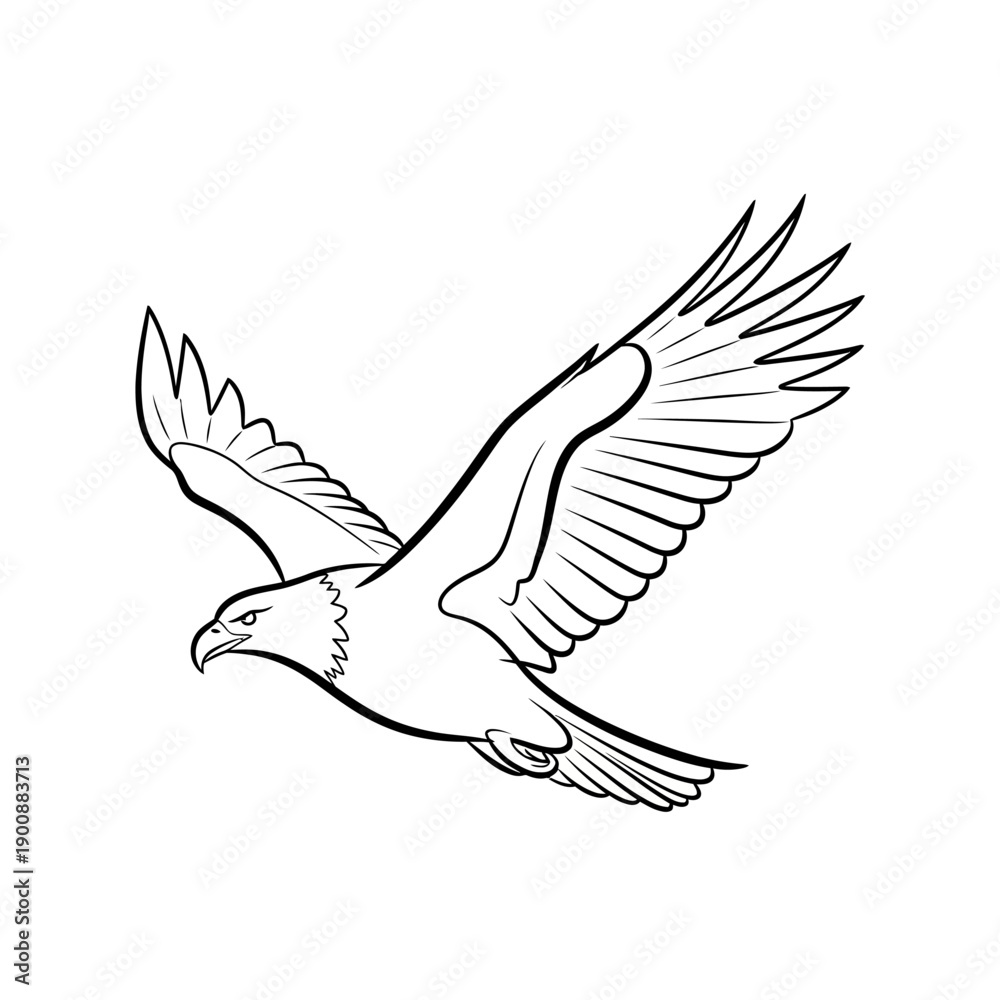 Obraz premium Front View Eagle Wings Spread Silhouette