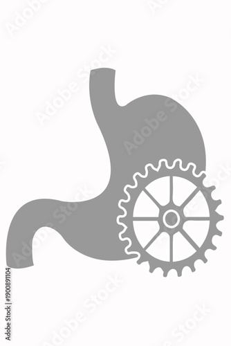 Stylized human stomach with gear symbol representing digestion, metabolism, and digestive system process concept. eps 10