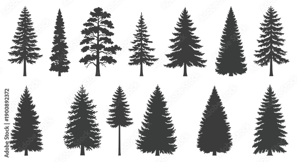 Obraz premium A collection of various evergreen tree silhouettes, showcasing different shapes and sizes of pine and fir trees.