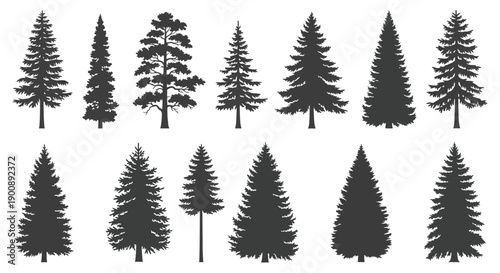 A collection of various evergreen tree silhouettes, showcasing different shapes and sizes of pine and fir trees.