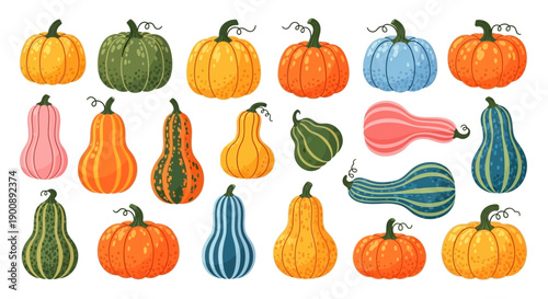 A vibrant collection of diverse pumpkins and gourds in various shapes, sizes, and colors, perfect for autumn and harvest themes.