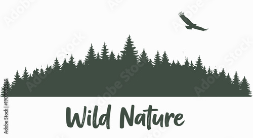 Silhouette of a dense evergreen forest with an eagle soaring in the sky above.