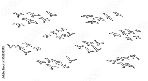 Minimalist black and white line art illustration depicting several flocks of birds in graceful flight across a clear sky.
