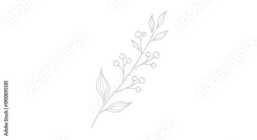 A delicate and minimalist line art drawing of a botanical branch with small leaves and berries, rendered in light grey on a white background.