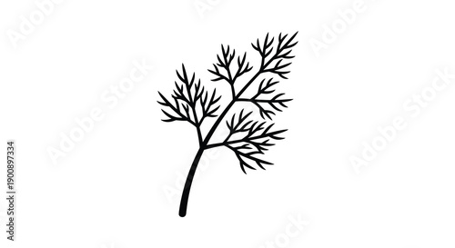 A delicate black and white illustration depicts a single sprig of dill showcasing its feathery segmented leaves and slender stem