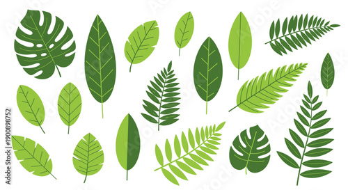 A vibrant collection of various green tropical leaves, showcasing diverse shapes and patterns, set against a clean white background.