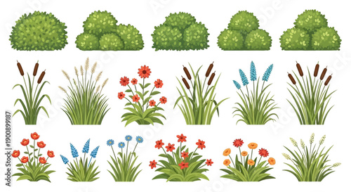 A collection of various green plants, including bushes, reeds, and flowering plants, arranged in rows against a white background.