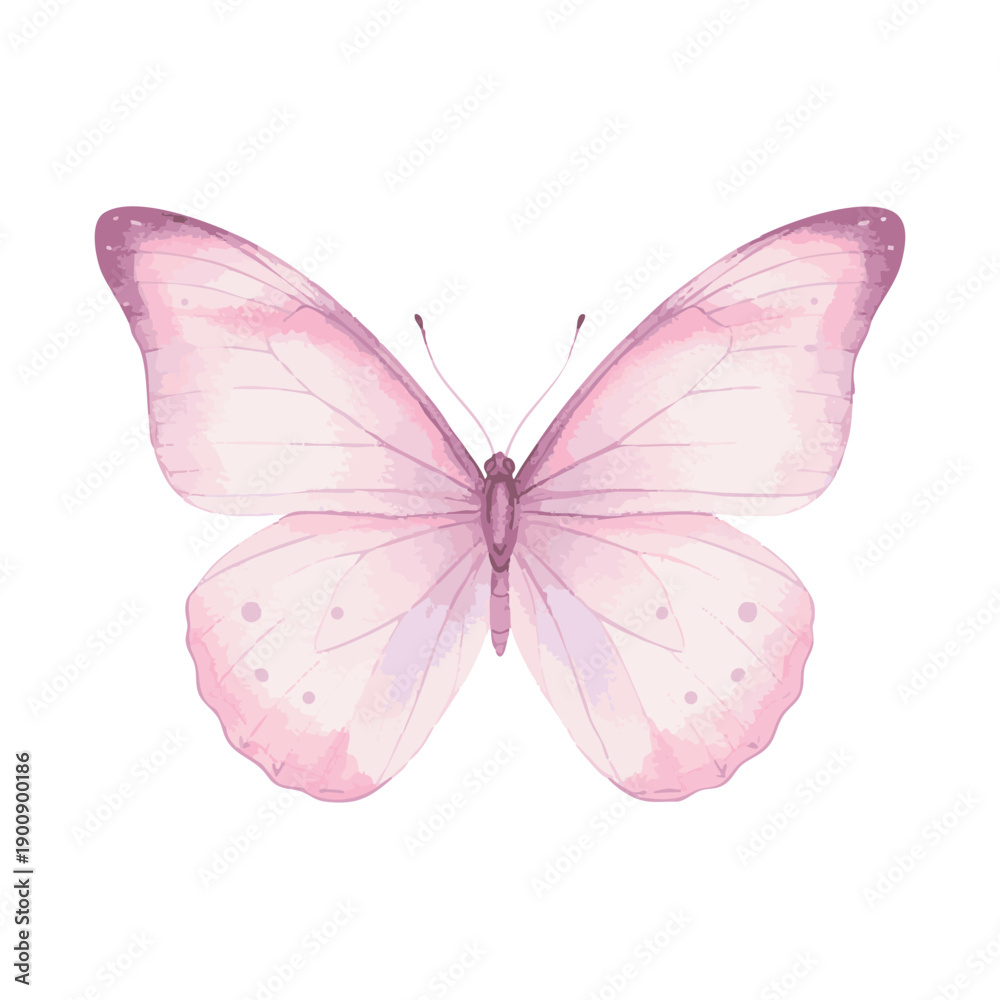 Obraz premium Watercolor Pink Butterfly Isolated on White Background.