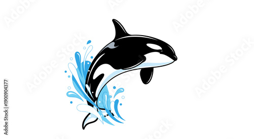 Jumping Orca Killer Whale with Water Splash