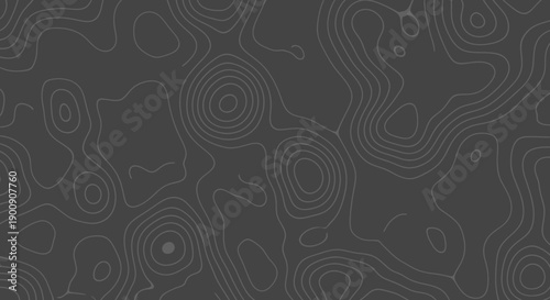 Abstract topographic map lines creating a textured background pattern.