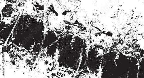 Abstract black and white textured background with organic shapes and lines.