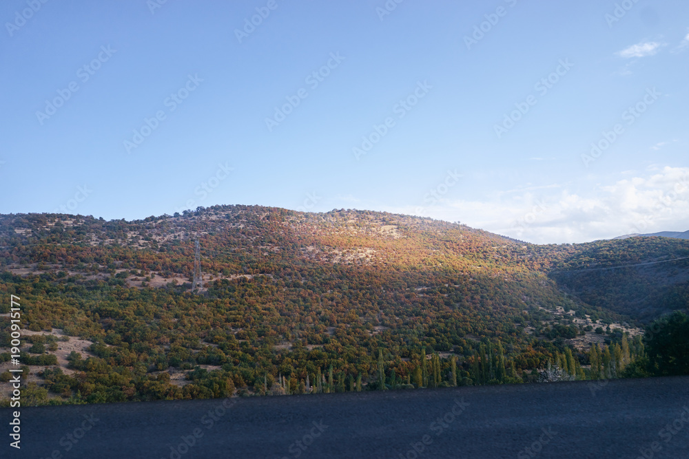 Fototapeta premium Serene Hilly Landscape With Afternoon Sunlight and Blue Skies