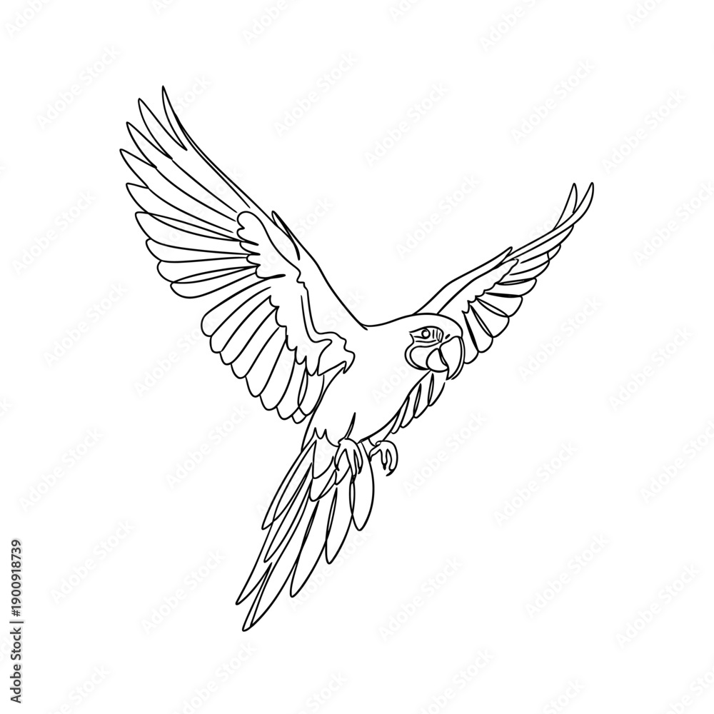 Fototapeta premium Upward Flying Parrot Continuous Line Art