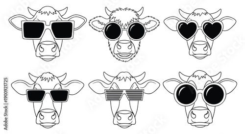 Vector cow heads wearing trendy sunglasses, illustration for social media or marketing, funny animal icons, Isolated on transparent background, png