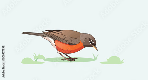 A robin with a vibrant orange breast pecks at the grass