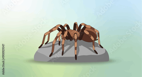 A large, hairy spider with brown and tan markings rests on a gray rock
