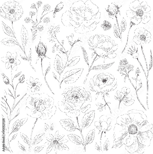 Black and botanical of assorted flowers and buds monochrome petals