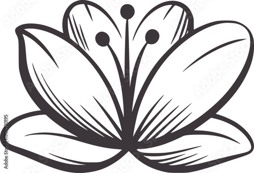 Stylized of a blooming lily flower with dark gray outlines petal