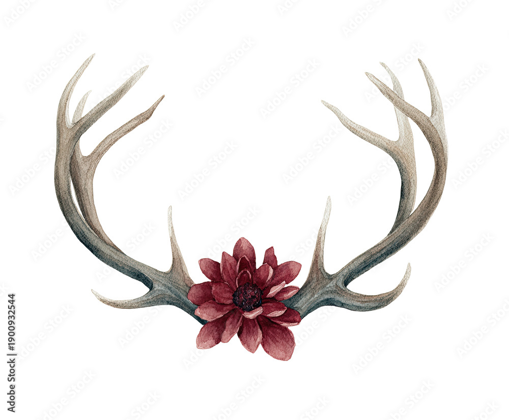 Naklejka premium Watercolor painting of antlers and a burgundy flower