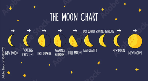 Moon phase chart showing astronomical lunar cycle from crescent to full moon on dark night sky background with stars vector educational illustration