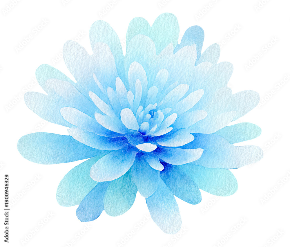 Obraz premium Watercolor illustration of a fluffy, multi-layered, ice-blue flower against a black backdrop