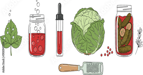 Hand drawn vector illustration set of fermentation and pickling elements including cabbage, pickles, glass jars, grater, and probiotic food preservation icons.