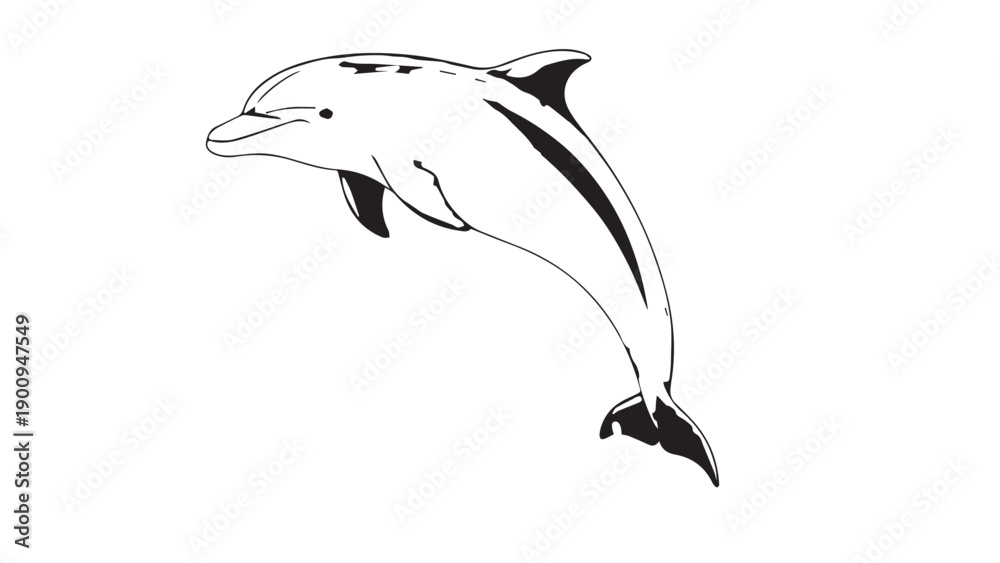 Fototapeta premium Graceful black and white dolphin illustration leaping from the ocean.