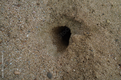 Close Up Of A Sand Hole On A Beach With Small Pebbles And Shells On A Sunny Day