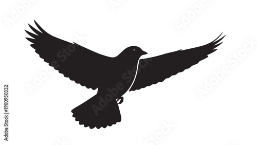 Elegant silhouette of a dove in flight with outstretched wings.