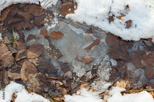 Fotografie Frozen water with fallen leaves and snow surrounding it in a natural setting dur