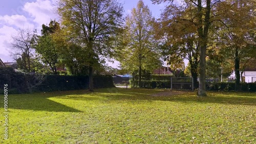 4K UHD video footage of a quiet park lawn with tall trees and green grass on a sunny day, no people. Gronau, Germany
