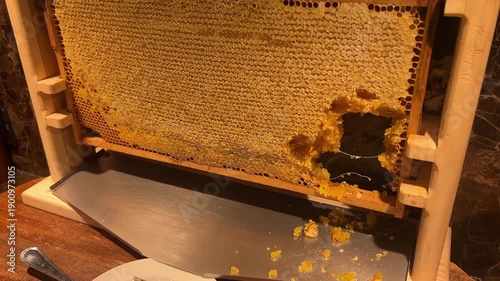 A frame of honeycomb in a hotel restaurant