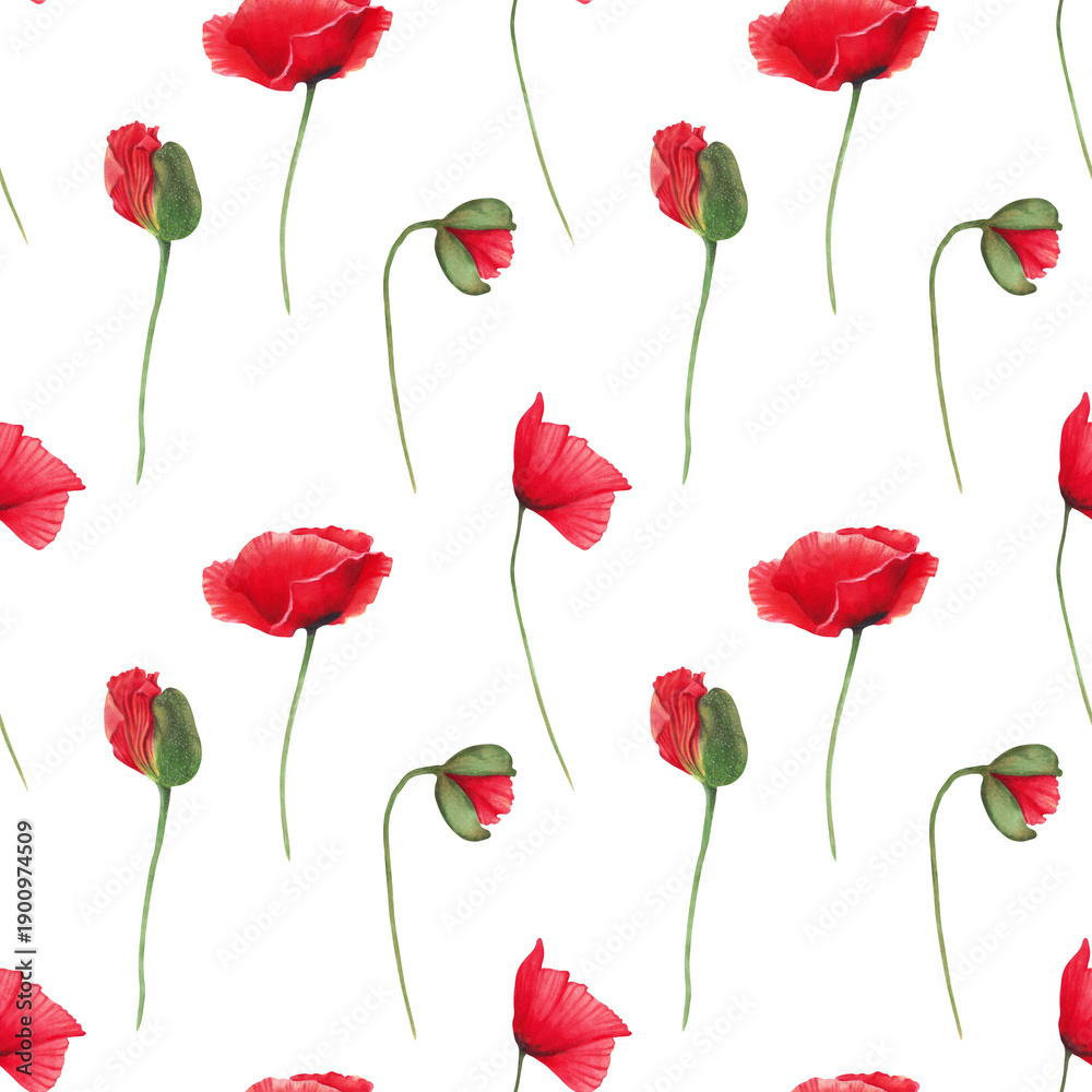 Obraz premium Seamless pattern of red poppies with buds on stems. Watercolor botanical illustration. Wild poppy festival. Hand-drawn isolated background. Remembrance, spring, and Labor Day. For fabric and textiles.