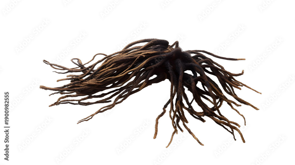 Obraz premium dreads hair png
