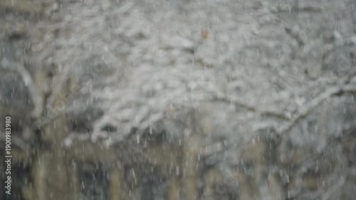Close-up of Snow Falling in City