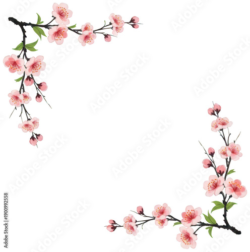 Pink Cherry blossom png Oriental Sakura branch cutout Watercolor Peach flower png Floral Corner border cutout Elegant Ink painting png isolated transparent background image