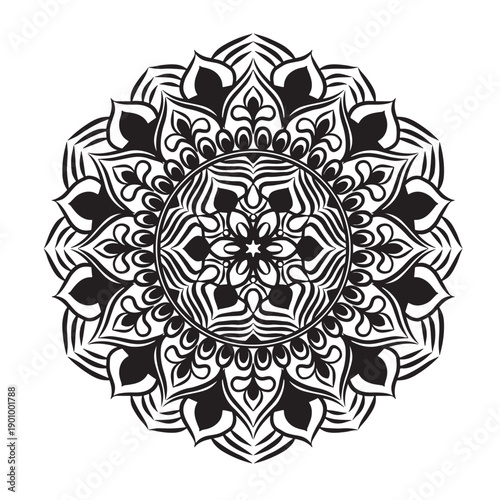 Vector hand drawn doodle mandala with ethnic ornaments.