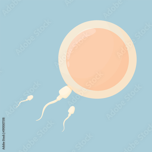 Fertilization of Human Egg Cell for Reproductive Health and Medical Design Vector